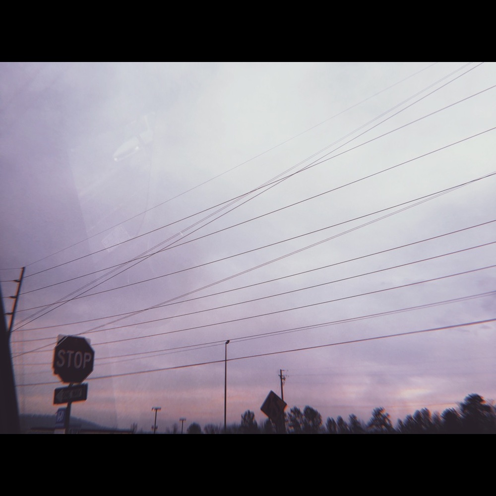 Meet your Posher, Abbey